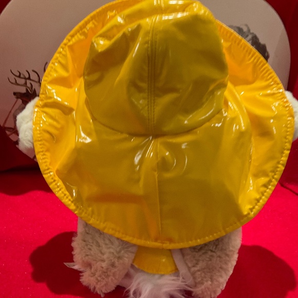 Singing Bunny Rabbit Singing “ It’s a Sun Shiny Day” New Please watch the video! - Picture 4 of 5